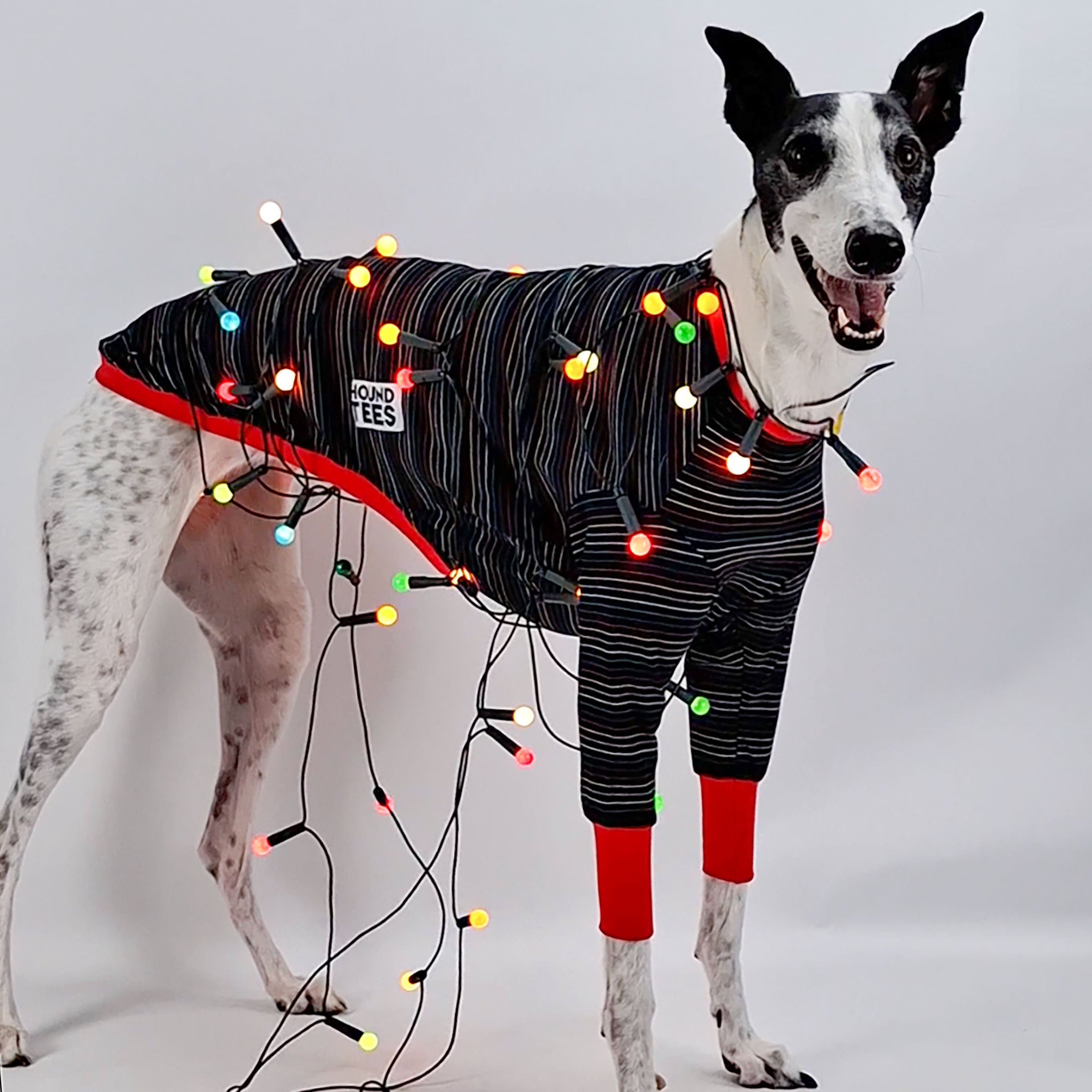Greyhound Sleeveless T-Shirt for Dog Lovers - Christmas Lights Design - Perfect for Pet Owners, Dog Walks & Holiday Parties