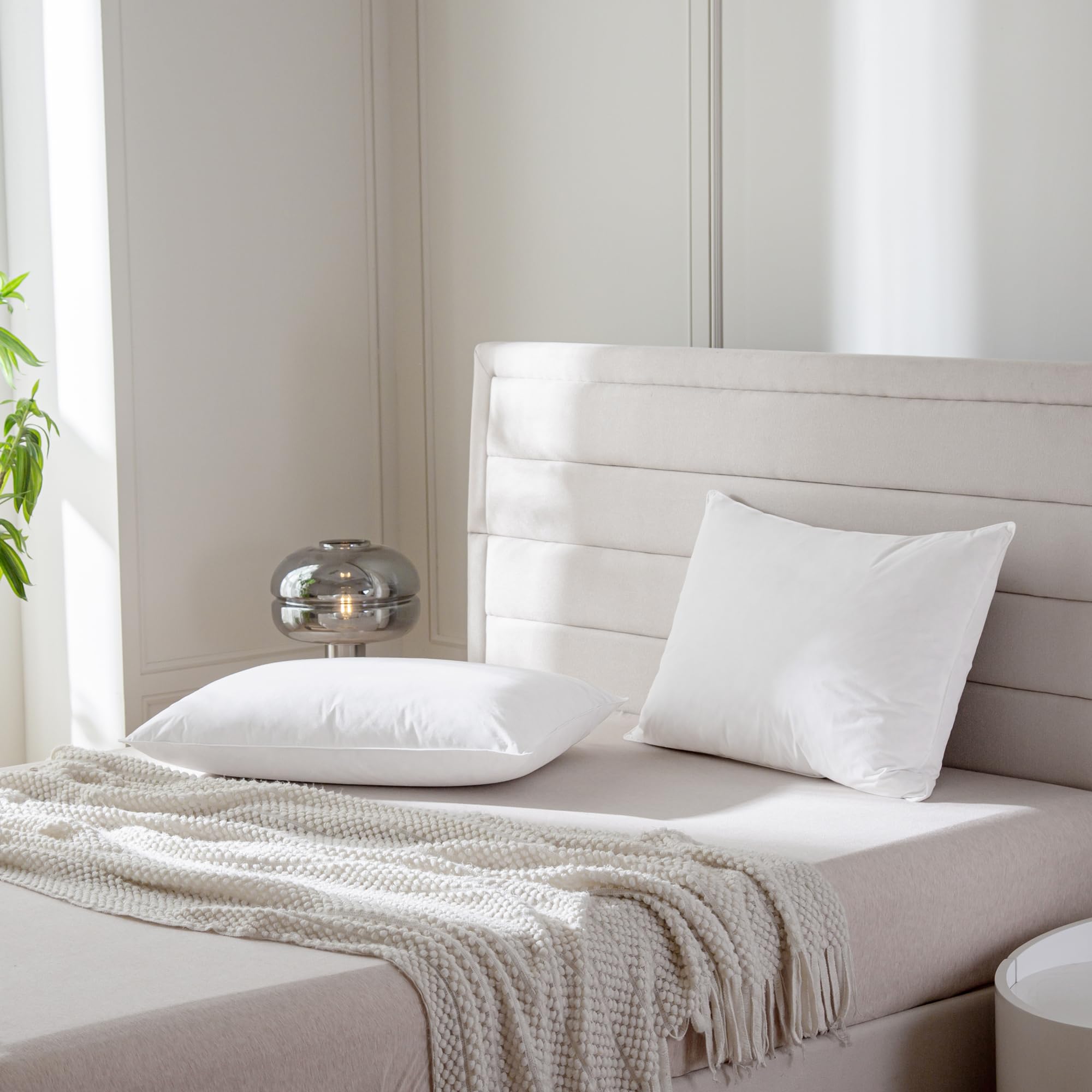 Premium Luxury Feather Down Pillows King Size Set of 2 - Hotel Quality Hypoallergenic Bed Pillows with Organic Cotton Cover (20x36 Inches) - Perfect for Side Sleepers, Back Pain Relief & Luxury Bedroom Decor