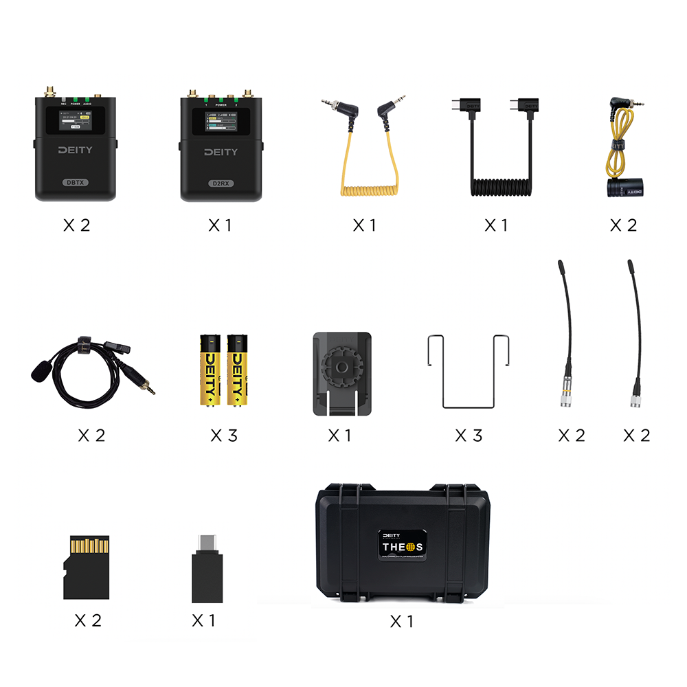 THEOS Digital Wireless 2 Channel Microphone System Kit for DSLR Cameras - Professional Audio Recording for YouTube, Vlogging, Interviews & Live Streaming (US Version)