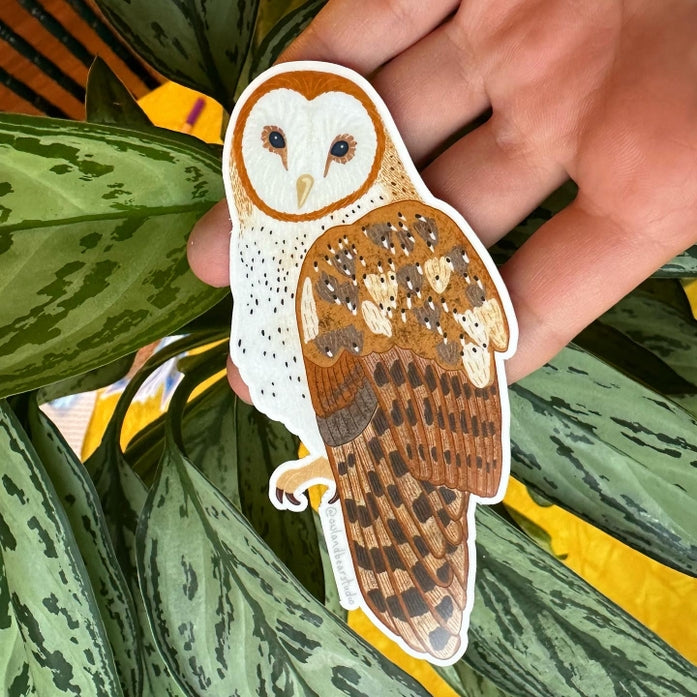 Barn Owl Vinyl Sticker - Waterproof Decal for Laptops, Cars & Windows - Perfect for Nature Lovers & Outdoor Enthusiasts