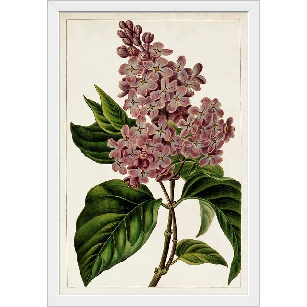 CANVAS ON DEMAND Mauve Botanicals IV White Framed Floral Art Print - Elegant Home Decor for Living Room, Bedroom & Office Wall