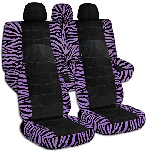 Purple Zebra & Black