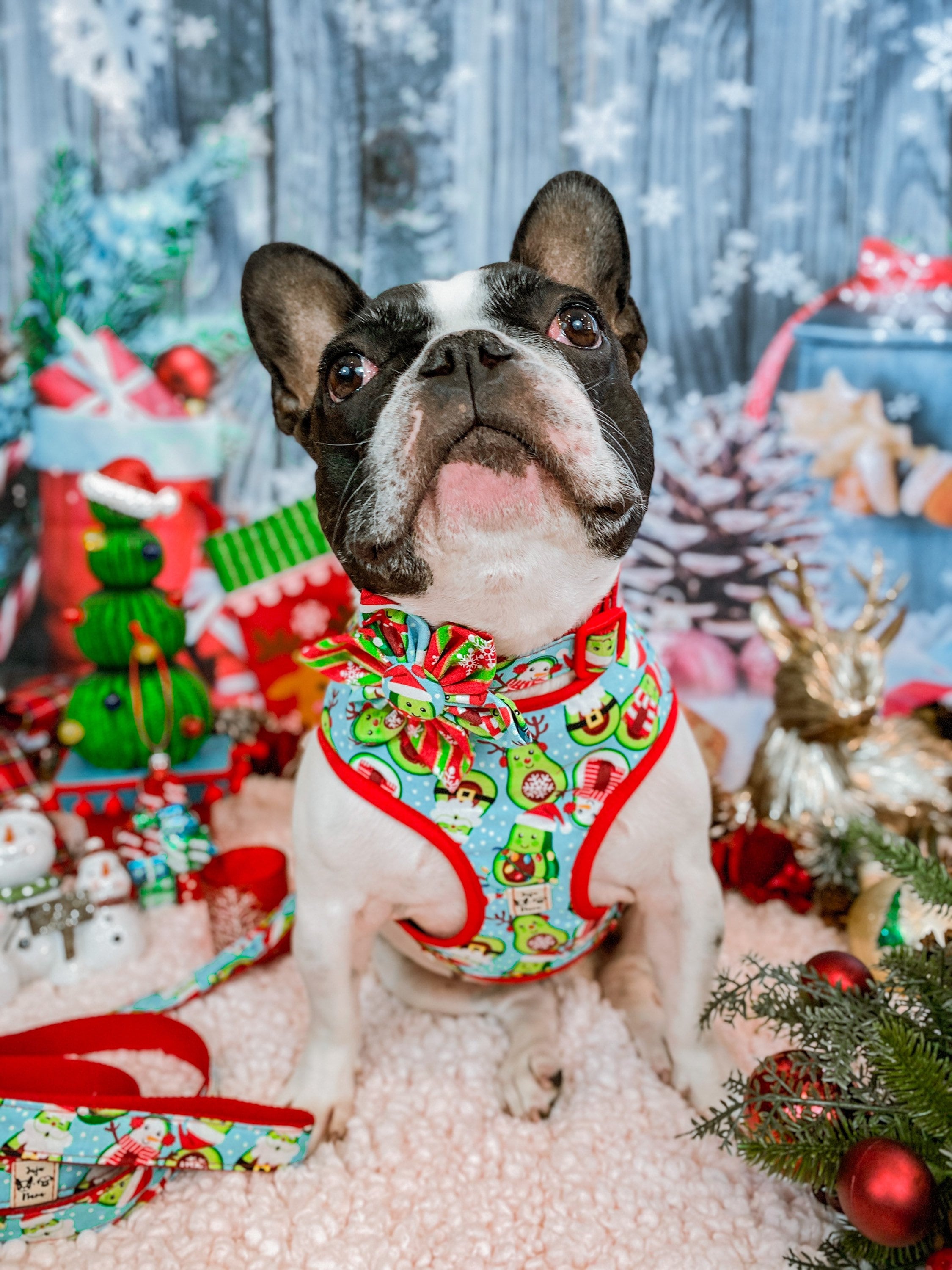 Christmas Dog Collar with Flower & Avocado Design - Festive Pet Accessory for Holiday Photos & Parties