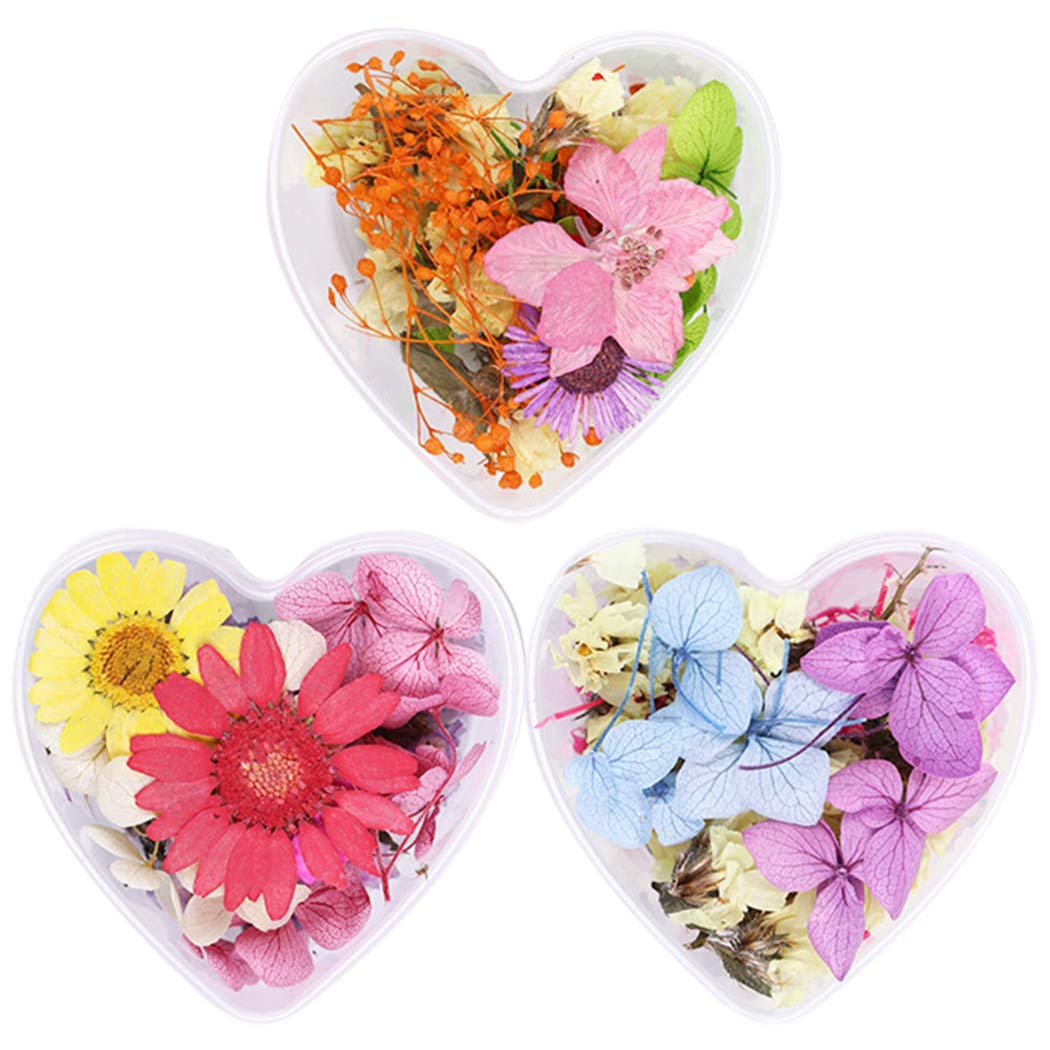 SOWUNO 3D Pressed Flower Nail Art Kit - 3 Box Mini Dried Real Flowers for DIY Nail Decoration | Perfect for Nail Salon, Home Manicure & Creative Nail Designs