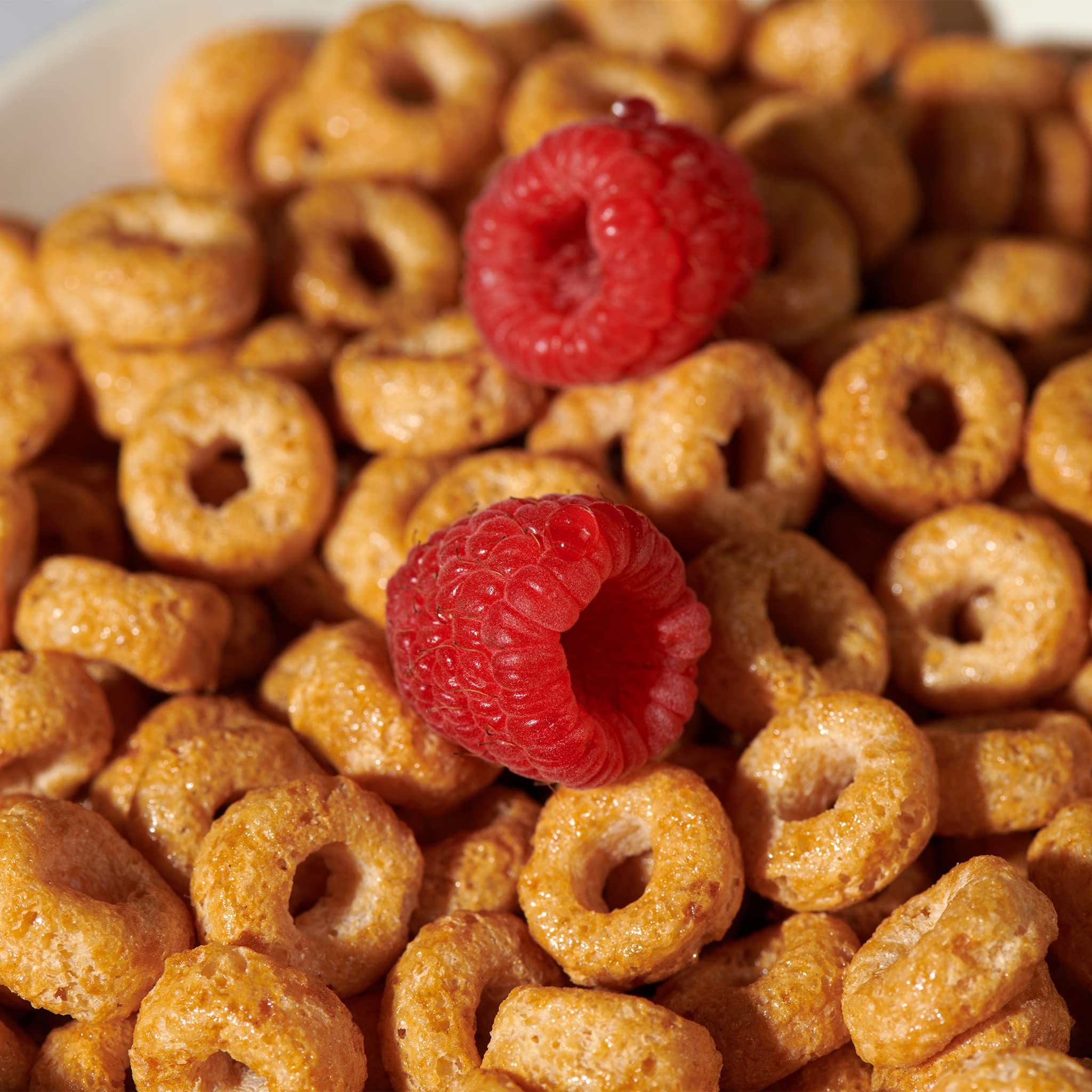Lovebird Healthy Cereal - Organic, Grain Free, Gluten Free, Paleo AIP & Keto Friendly Breakfast Cereal with No Refined Sugar | Delicious Snack for Kids & Adults | Variety 6 Pack | Perfect for Quick Breakfasts, Office Snacks & Healthy On-the-Go Meals