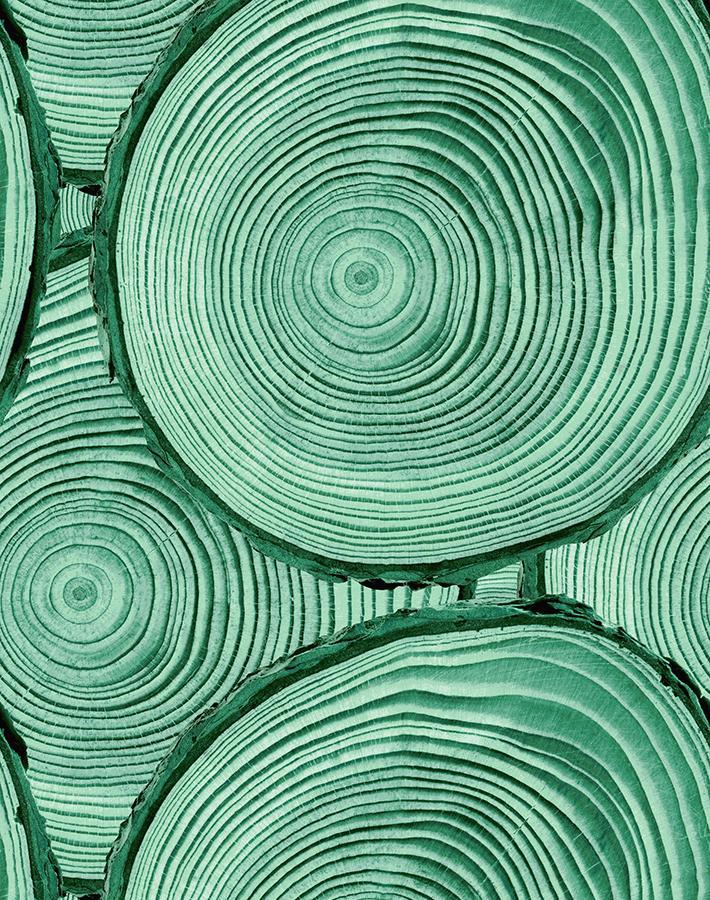 Nathan Turner Faux Bois Wallpaper - Hunter Green Peel & Stick Wallpaper for Bedroom, Living Room, and Home Office Decor