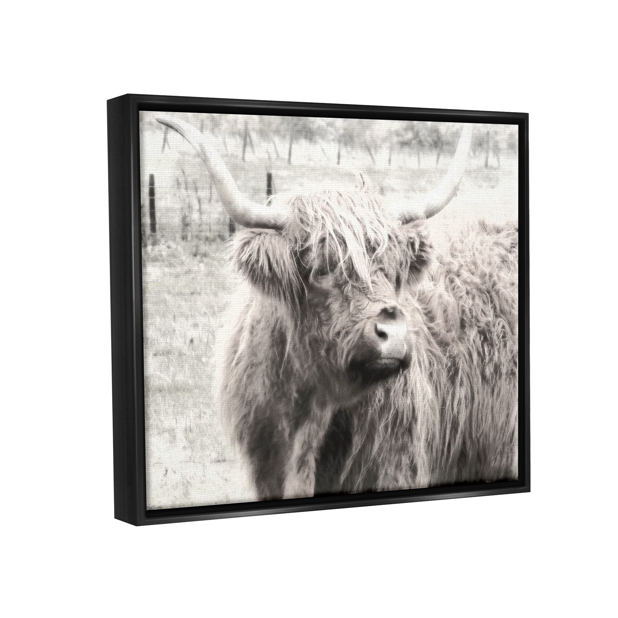 Stupell Industries Rustic Farm Highland Cattle Cow Black & White Wall Art - Graffitee Studios Photography - Perfect for Farmhouse Decor, Living Room & Country Style Homes