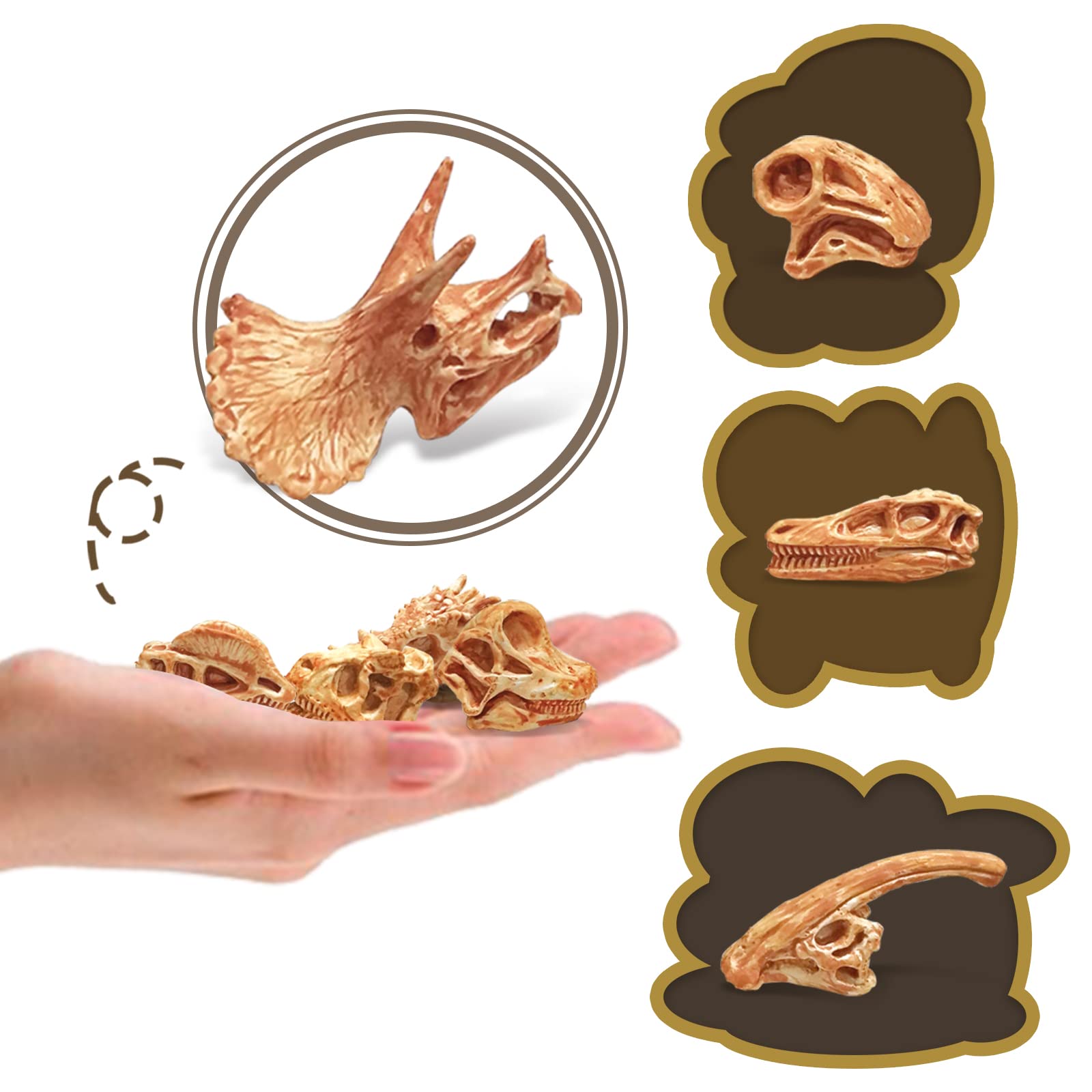 LC JoyCre Mini Dinosaur Bones for Kids - Realistic Fake Dinosaur Bones Dig Kit, Educational Sandbox Toys for Children - Perfect for Birthday Gifts, STEM Learning & Outdoor Play Activities