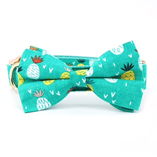 Summe Pineapple