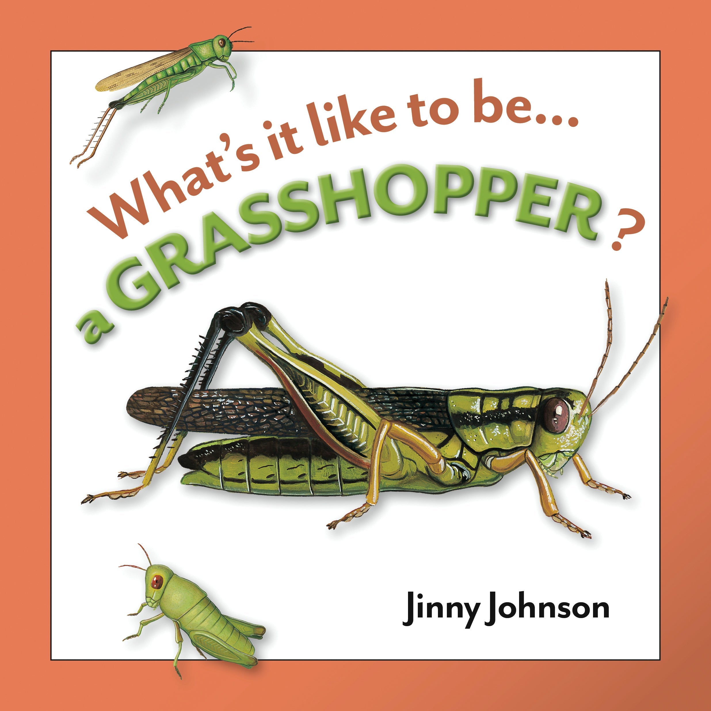 Premium Grasshopper Toy for Kids - Realistic Insect Figurine for Educational Play, Outdoor Exploration & Nature Learning | Perfect for STEM Activities, Bug Collections & Science Projects