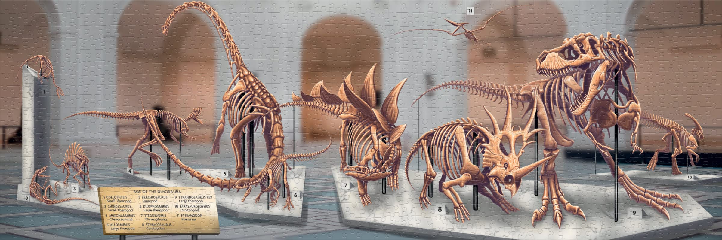 Dinosaur Jigsaw Puzzle 1000 Pieces for Adults & Kids - Includes Mini Poster with Puzzle Art - Perfect for Family Game Night & Educational Fun