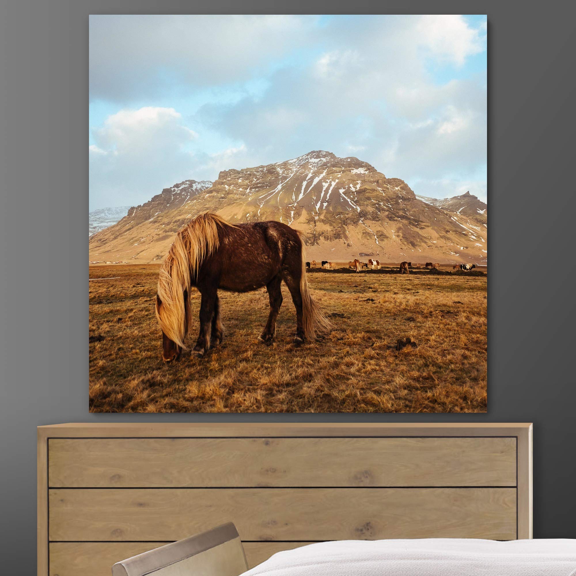 Premium Horse Photography Wall Art Print - Farmhouse & Country Style Decor - 16x16 Inches Ready to Hang - Perfect for Living Room, Bedroom, Office - Animal Themed Home Decor for Western & Equestrian Lovers