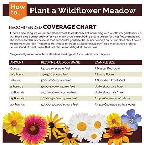 Non-GMO Bulk Midwest Wildflower Seed Mix - 25 Native Species (1/2 Pound) for Pollinator Gardens, Landscaping & Meadow Restoration