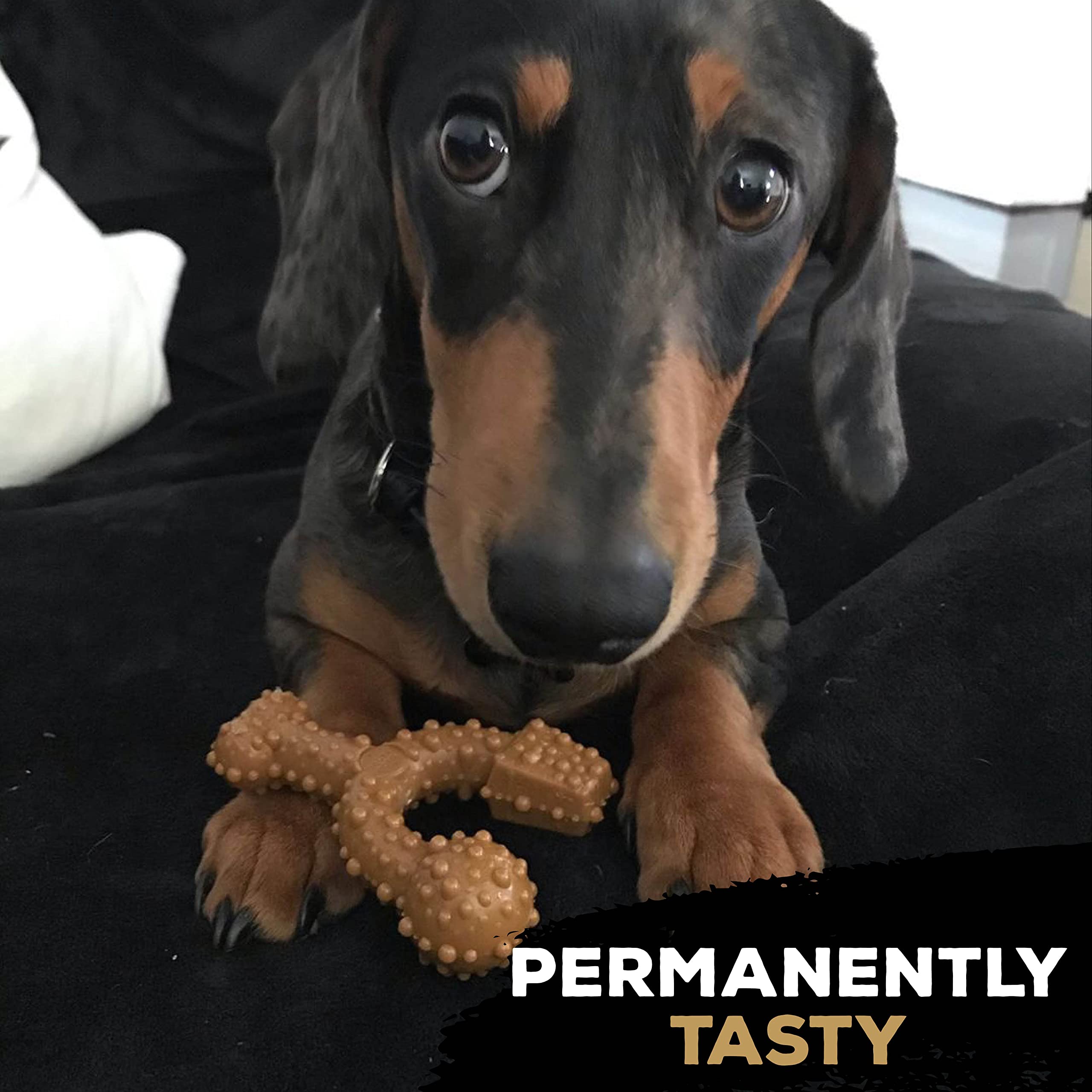 TastyBone Beef Flavored Trio Dog Chew Toys - Long-Lasting Dental Chews for Small, Medium & Large Dogs - Perfect for Teething, Boredom Relief & Playtime