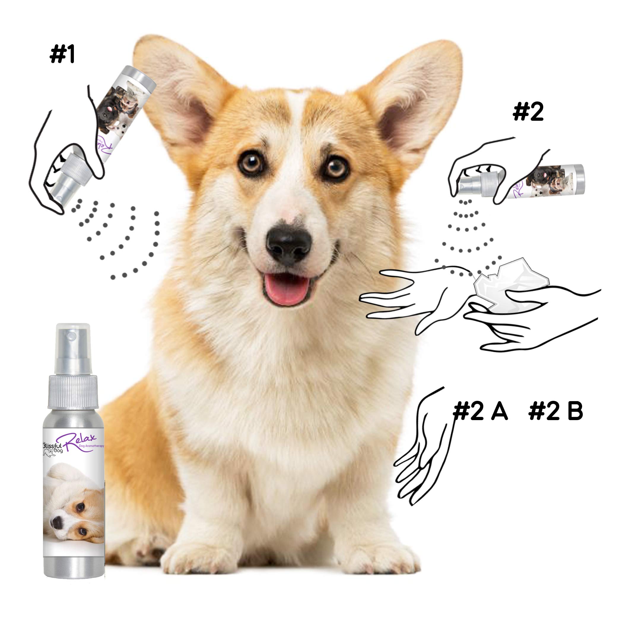 The Blissful Dog Corgi Relax Aromatherapy Spray for Dog Anxiety Relief - Calming Scent for Stress, Travel & Vet Visits