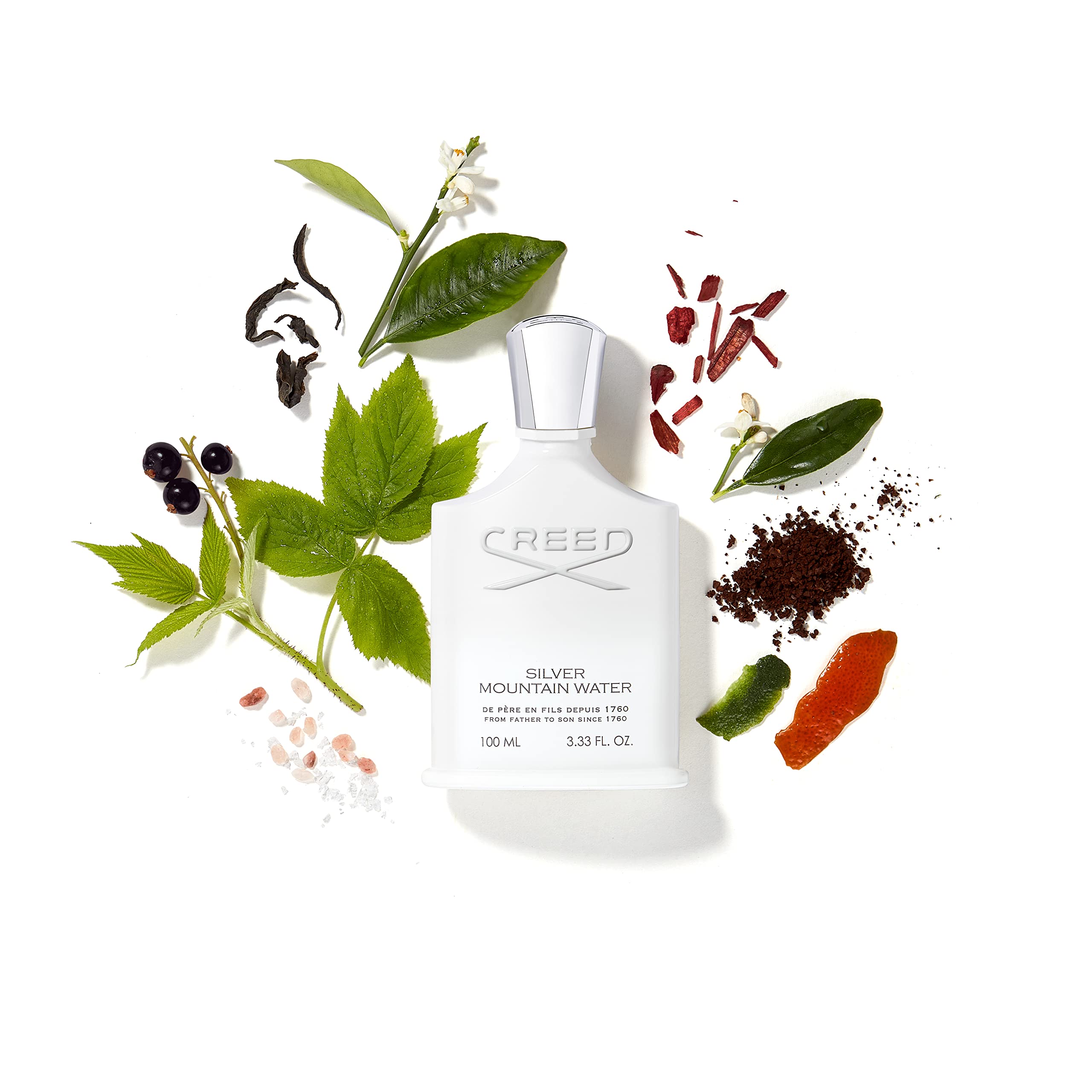 Creed Silver Mountain Water for Men - Premium Luxury Cologne with Citrus, Fruity & Woody Notes - Long Lasting Eau de Parfum - Perfect for Date Night, Office & Special Occasions