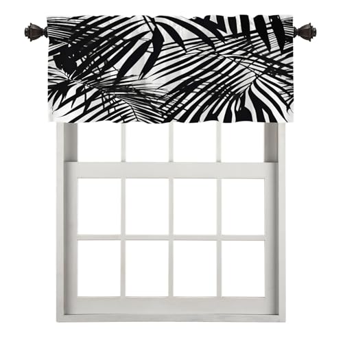 Black White Foliage Plants
