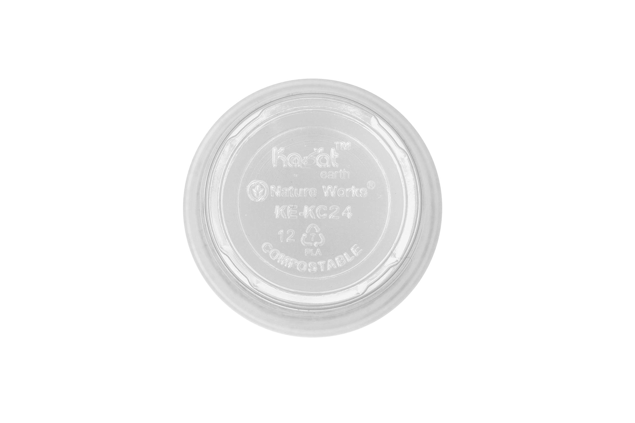 Eco-Friendly 24 oz PLA Compostable Cups by Karat Earth - Case of 600 (KE-KC24G) | Perfect for Parties, Cafes & Sustainable Events