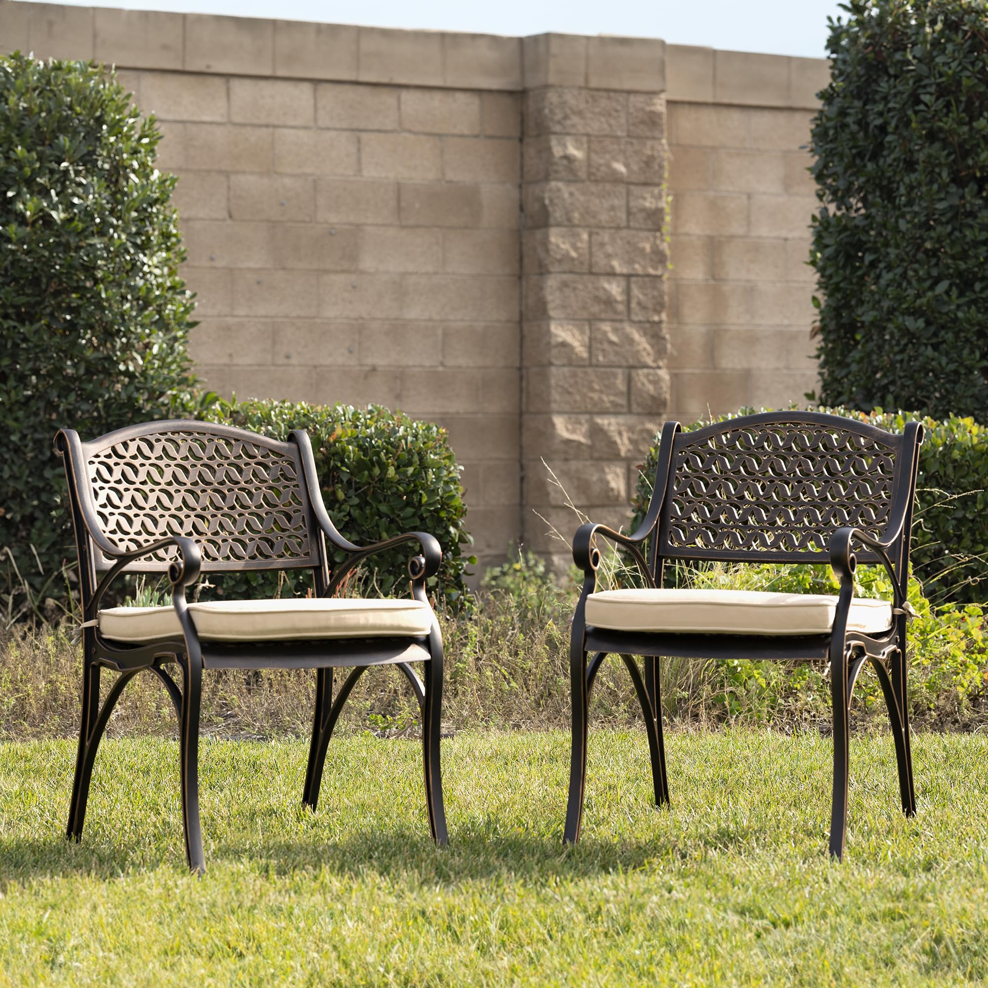 Premium 2-Piece Cast Aluminum Outdoor Patio Chairs Set with Cushions - Weather-Resistant Patio Seating for Garden, Poolside & Backyard Relaxation
