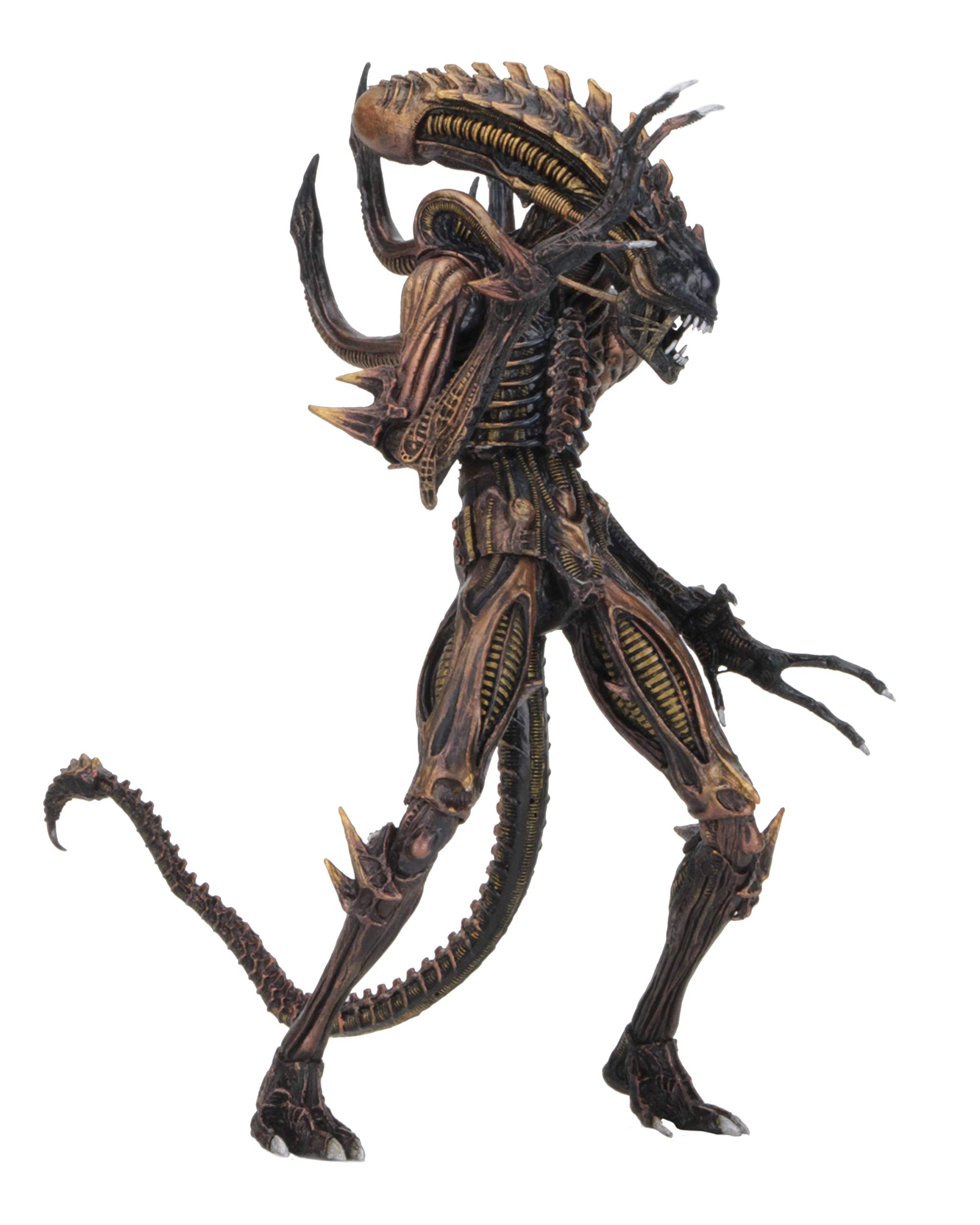 NECA Aliens 7-Inch Scale Action Figure Series 13 Scorpion - Xenomorph Collectible Toy for Sci-Fi Fans & Movie Enthusiasts - Perfect for Display, Collecting, and Role-Playing Scenes