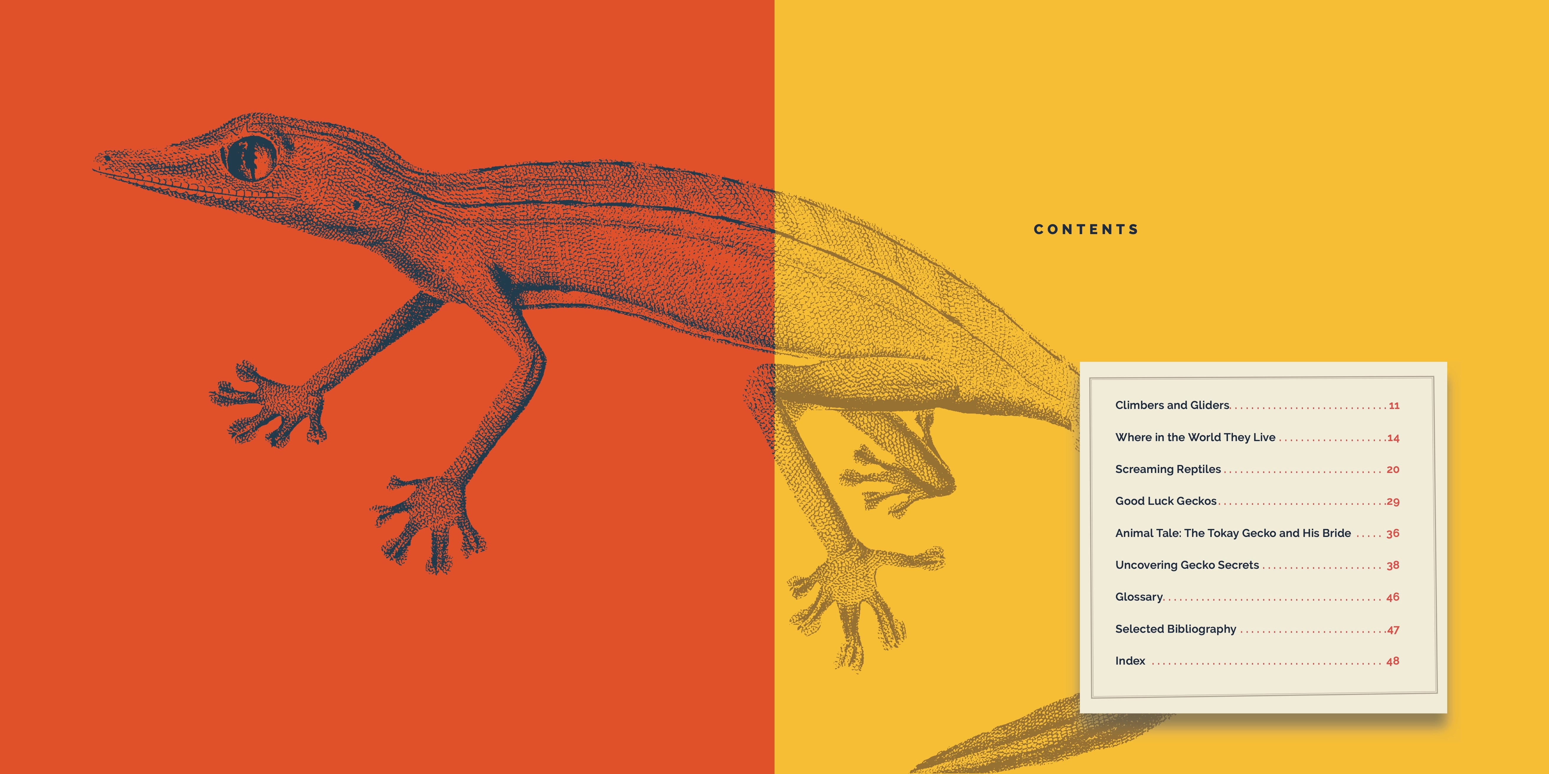 Geckos: Amazing Reptiles - 9781640267848 | Perfect for Reptile Lovers & Educational Use