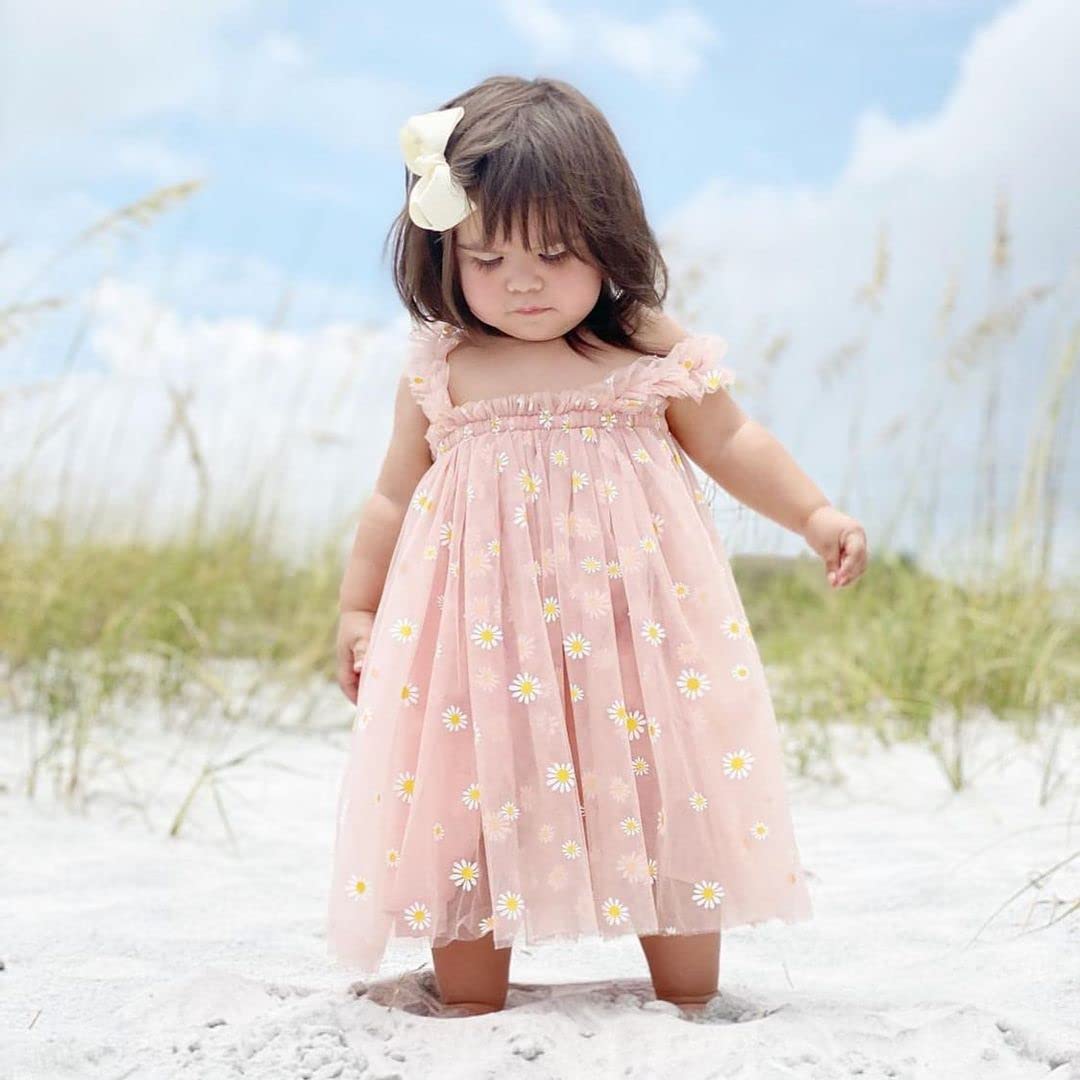 Baby Girl Summer Dress - Sleeveless Floral Fruit Embroidery Mesh Tutu Puff Dress for Infants & Toddlers | Perfect for Outdoor Play, Beach Trips & Birthday Parties