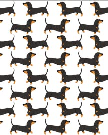 Dachshund Dog
