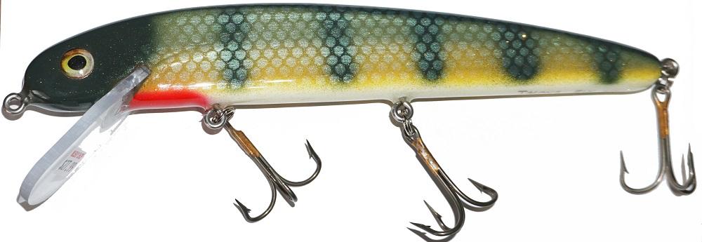 white belly perch