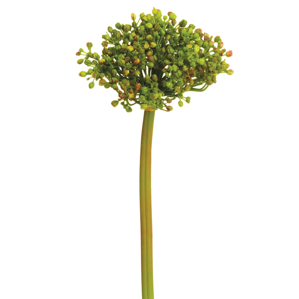 12 Pack Allium Bud Silk Flower Stems - 2 Tone Green Artificial Flowers for Home Decor, Wedding Centerpieces, and Floral Arrangements
