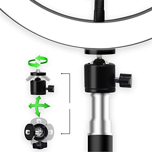 BRIODY 16cm LED Ring Light 5600K Dimmable with Tripod for Selfie Photography