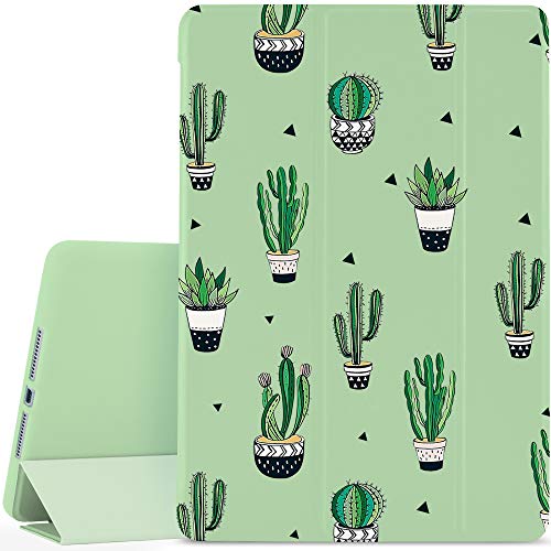 Cactus Plants-Green