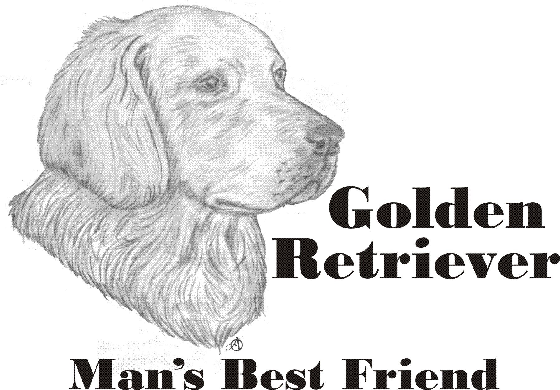 Golden Retriever Lover's T-Shirt for Men - Best Friend Dog Owner Apparel - Comfortable Casual Wear for Pet Owners, Dog Walks & Outdoor Activities
