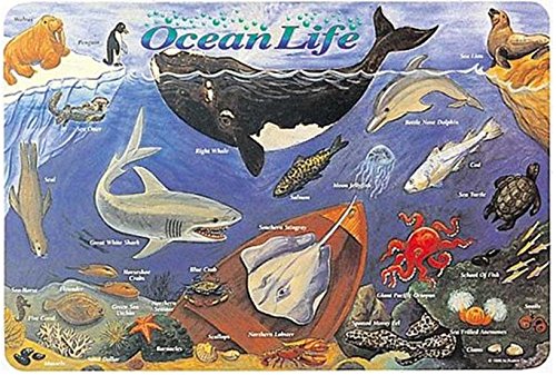 Farm, Ocean & Jungle Animal Placemats - Set of 3 Reusable Wipe-Off Mats for Kids | Fun Dining & Learning Activity for Toddlers & Preschoolers