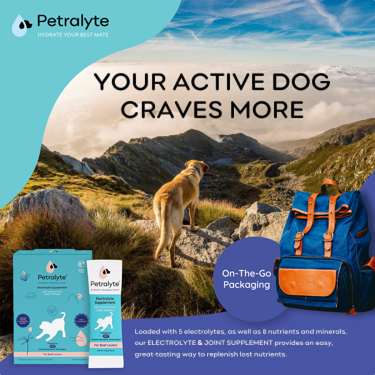 Premium Dog Electrolyte & Joint Support Supplement - Beef Flavor for Active Dogs | Post-Workout Recovery & Senior Dog Mobility Aid