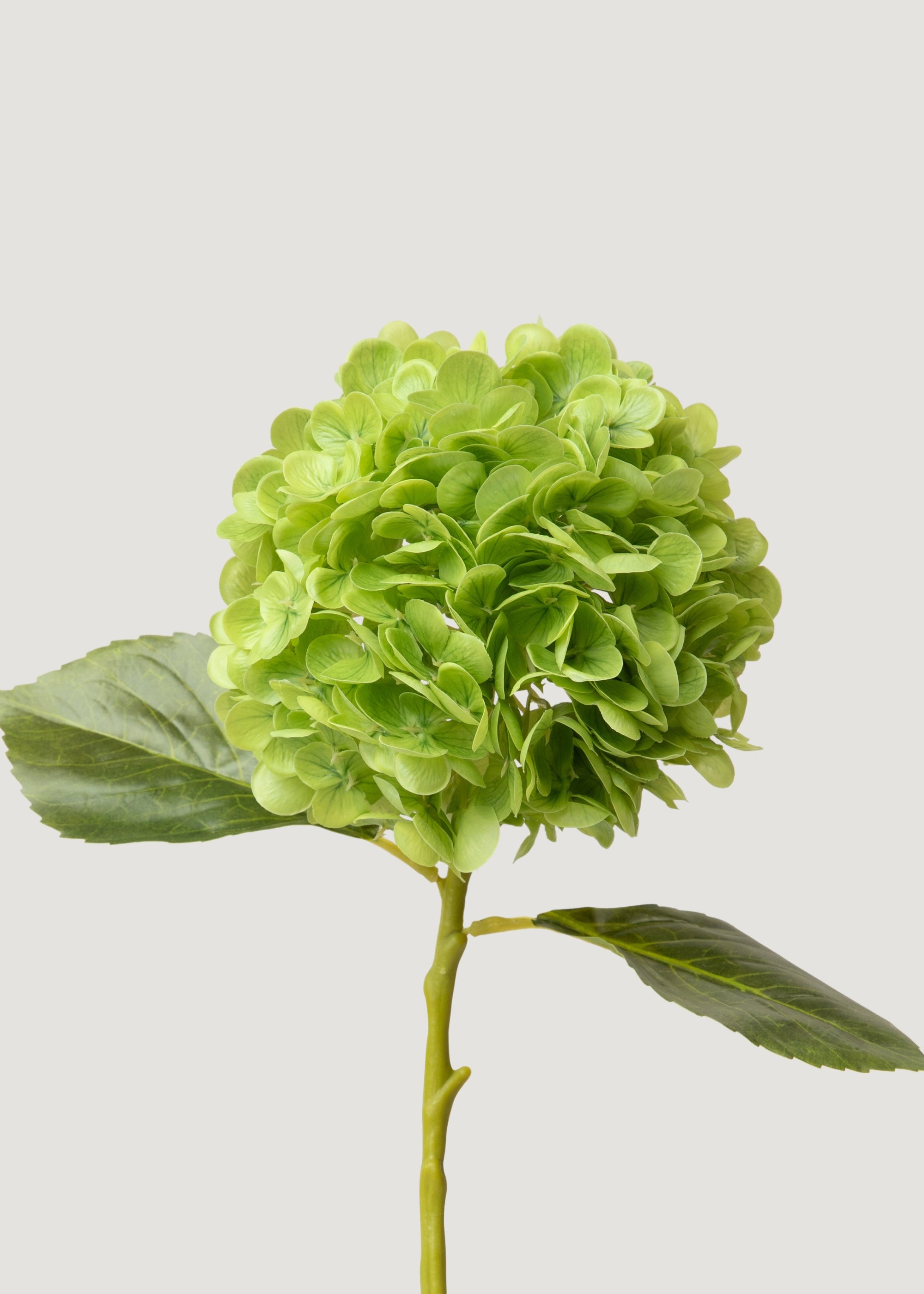 Real Touch Hydrangea Artificial Flowers in Green - 18.5