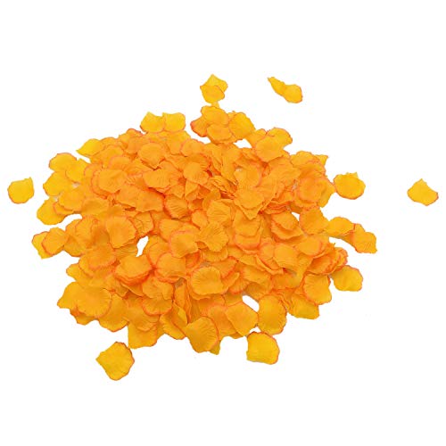 Orange Yellow Watanabe