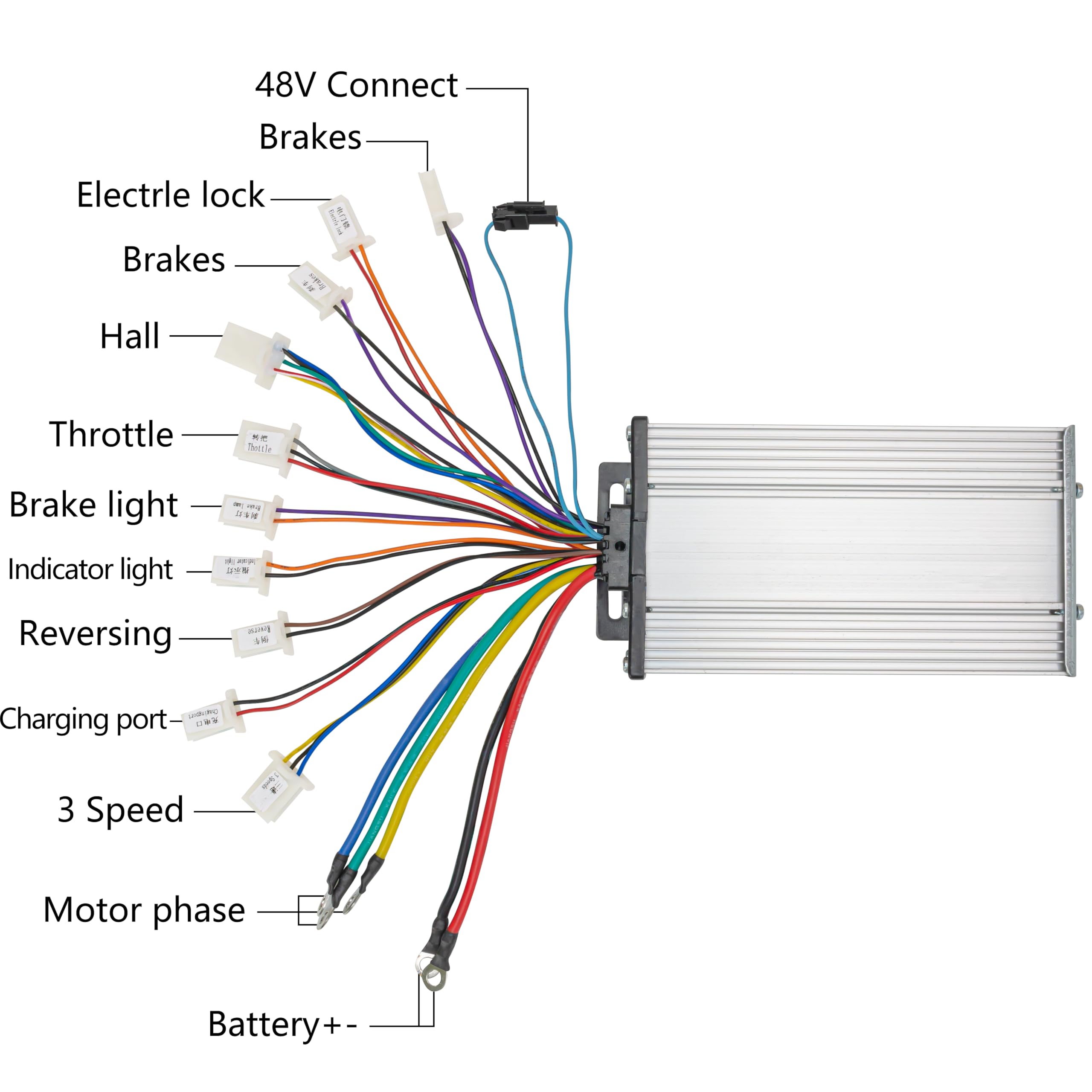 36V 1000W 5.7N.M High Power Electric Motor Kit for Dirt Bikes, Scooters & Go Karts - 3100RPM Brushless Motor with Reverse Throttle & Key Foot Pedal (No Bracket) - Perfect for Off-Road Adventures, Commuting & DIY Electric Vehicle Projects