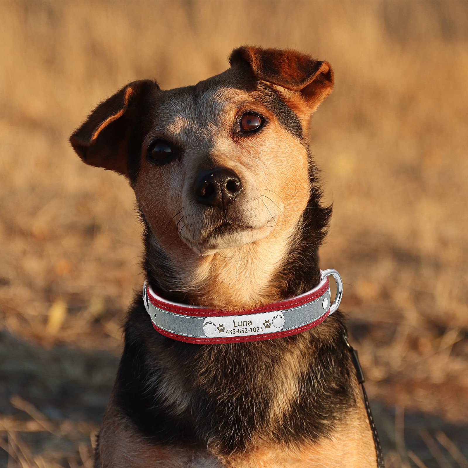 Custom Personalized Reflective Dog Collar & Leash Set with Name Plate - Engraved Leather Pet Collar for Small Medium Large Dogs & Cats - Perfect for Night Walks, Outdoor Adventures & Pet Safety