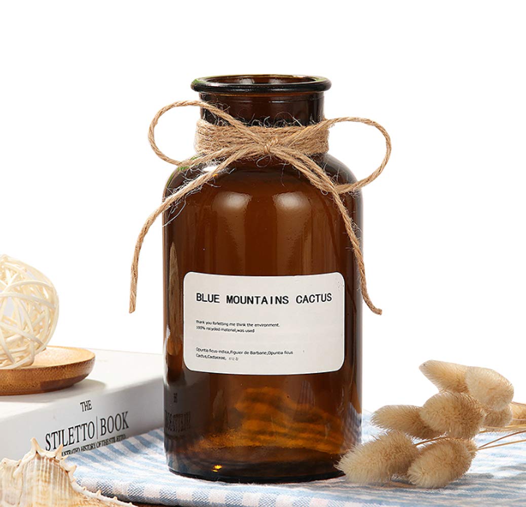 500ML/16.7OZ Amber Glass Bottles - Vintage Apothecary Jars with Rope Design, Decorative Bud Vases for Flowers, Home Decor, Wedding Centerpieces & DIY Crafts