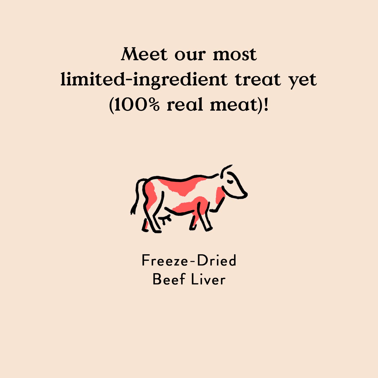 Bocce's Bakery All-Natural Freeze-Dried Beef Liver Dog Treats - 3 oz, Grain-Free, Made in USA - High-Protein Training Rewards & Dental Chews for Puppies & Adult Dogs