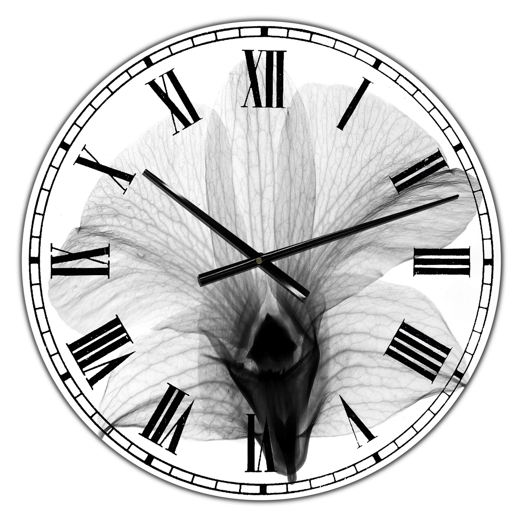 DesignQ Cottage Wall Clock 'Dendrobium On Back X-Ray Orchid' - 12 Inch Round Black Wall Clock for Home Decor - Perfect for Living Room, Bedroom & Office