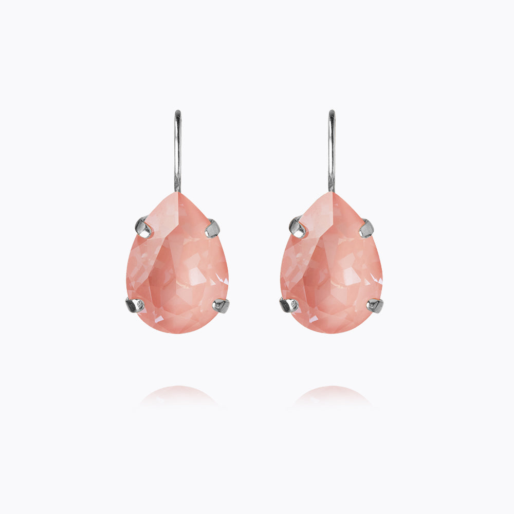 Mini Drop Clasp Earrings - Flamingo Inspired Dangle Jewelry for Women | Perfect for Parties, Weddings & Everyday Wear