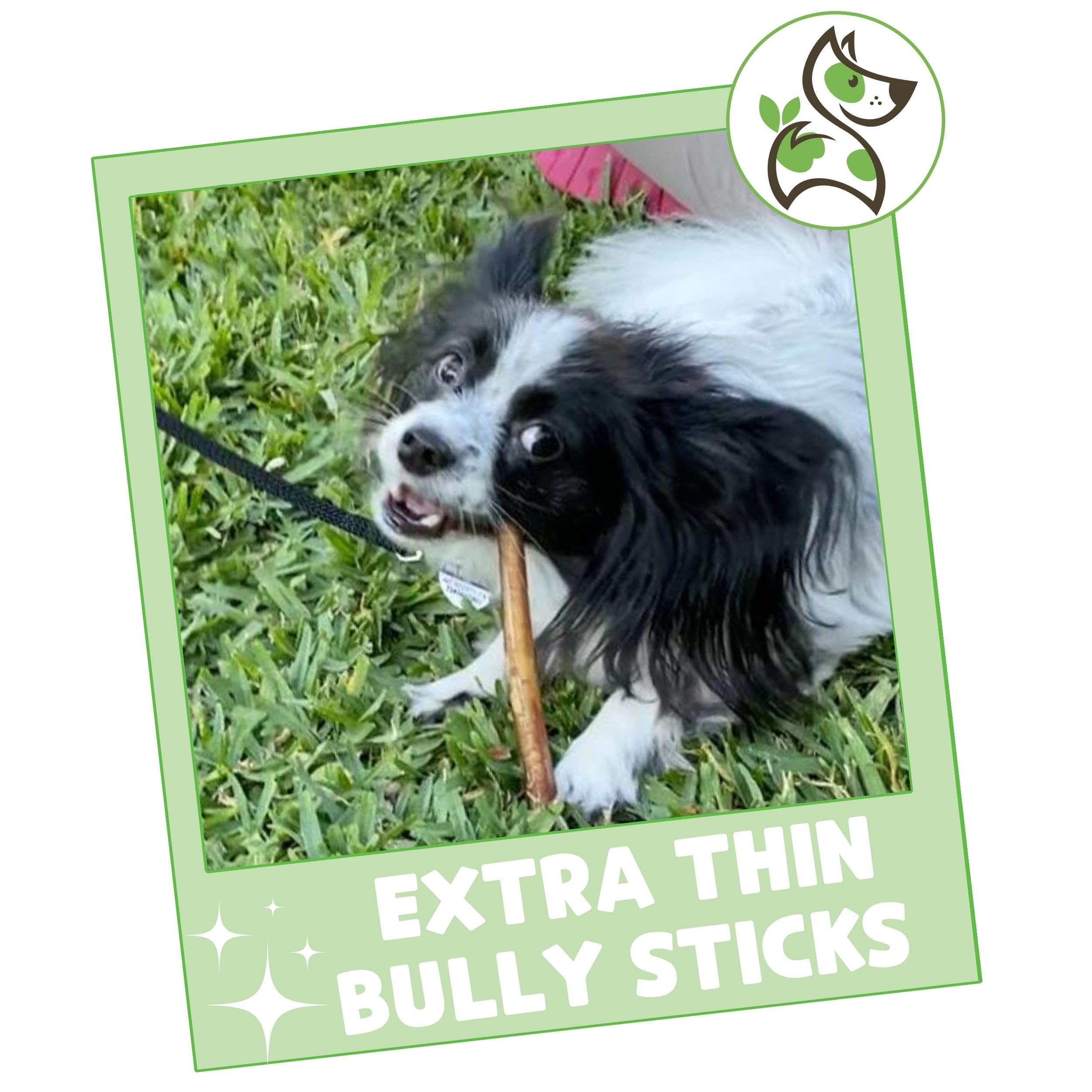Nature Gnaws Extra Thin Bully Sticks for Small Dogs - 5-6 Inch Natural Beef Dog Chews (10 Count) | Long-Lasting Dental Treats for Puppies & Light Chewers | Perfect for Teething, Training & Anxiety Relief