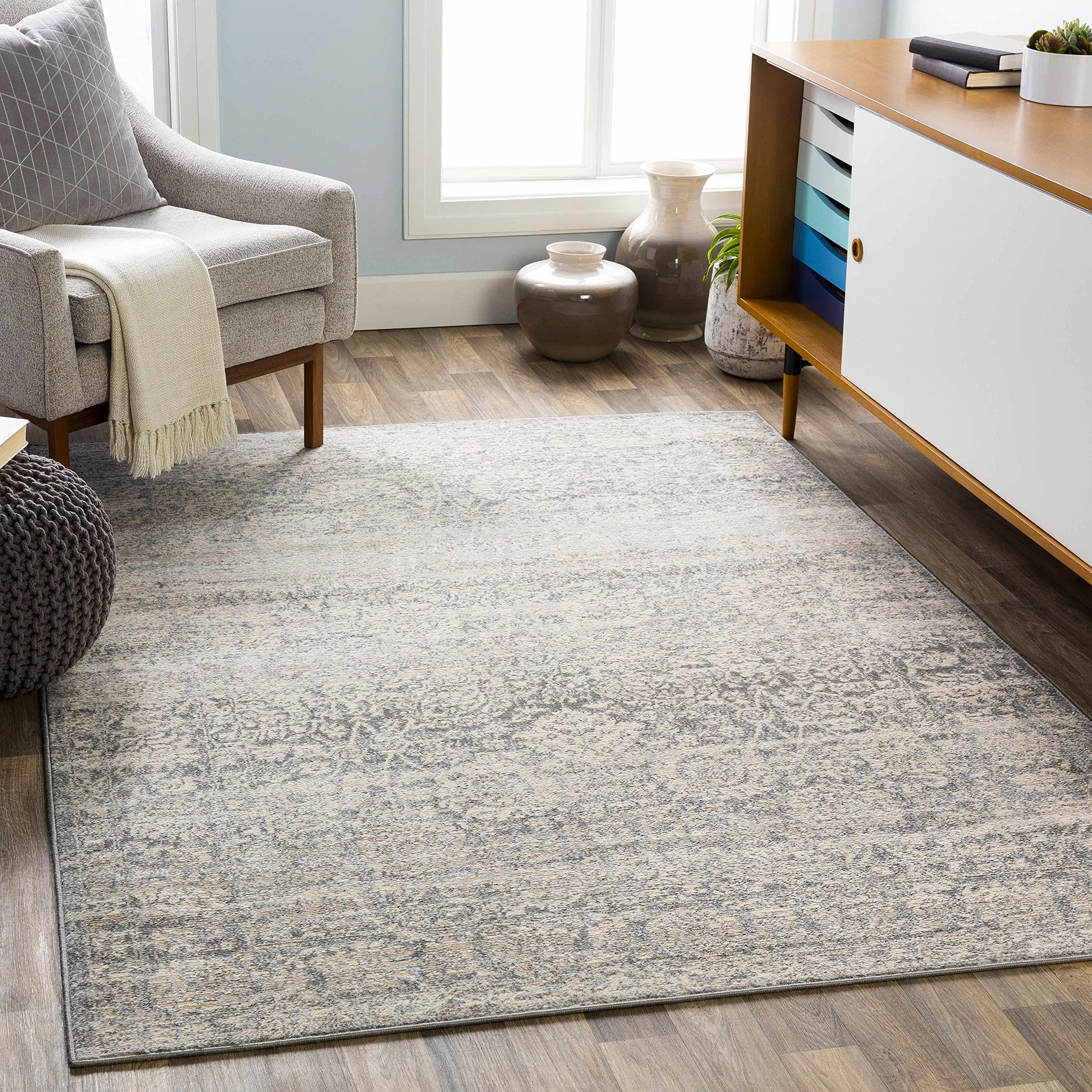 Hauteloom Orono Traditional Gray Beige Area Rug 6'7