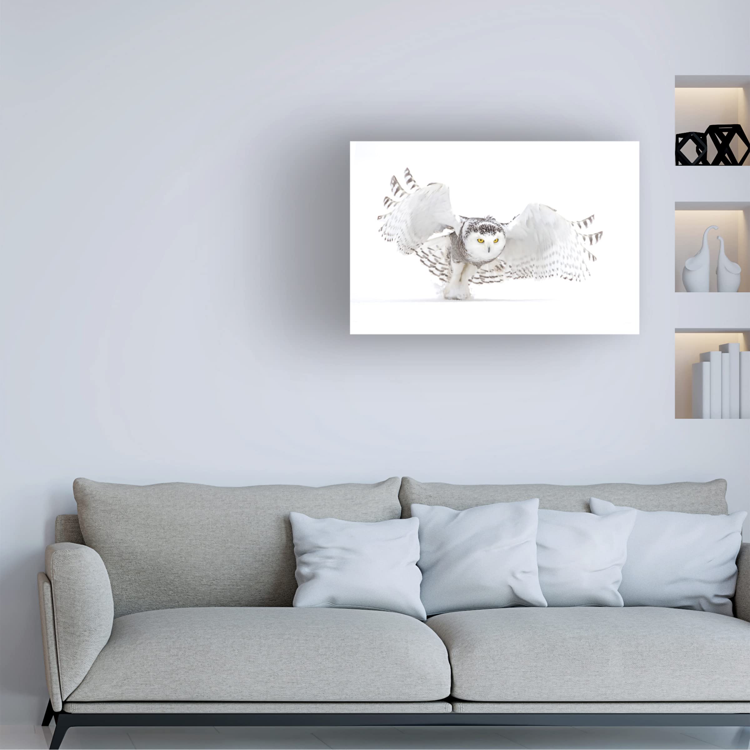 Trademark Fine Art 'Snowy Owl Jazz Wings' Canvas Wall Art by Jim Cumming - Perfect for Living Room, Bedroom & Office Decor