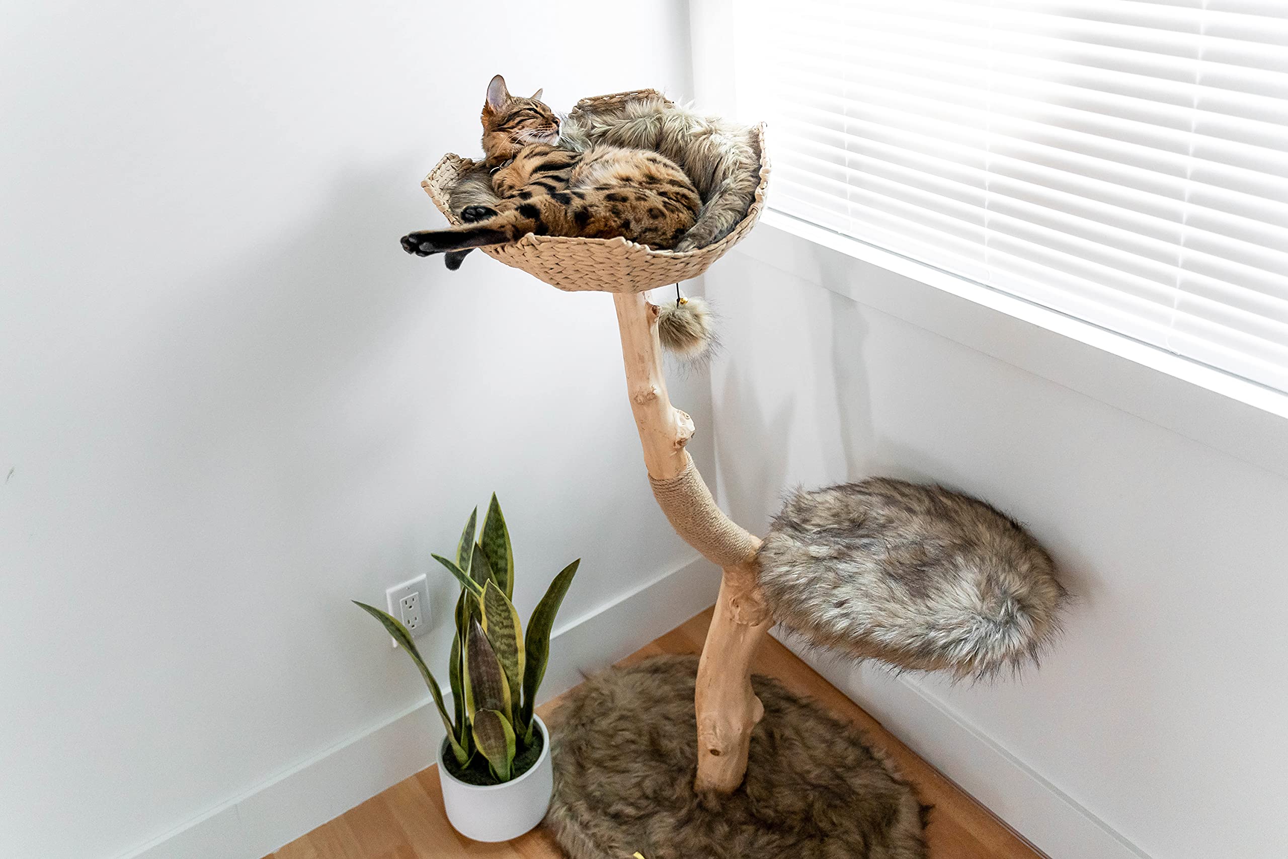 Modern Wooden Cat Tree Tower - Single Branch Cat Condo & Climbing Furniture for Indoor Cats - Perfect Cat Lover Gift by MAU LIFESTYLE (Brown) - Ideal for Small Spaces & Playful Kittens