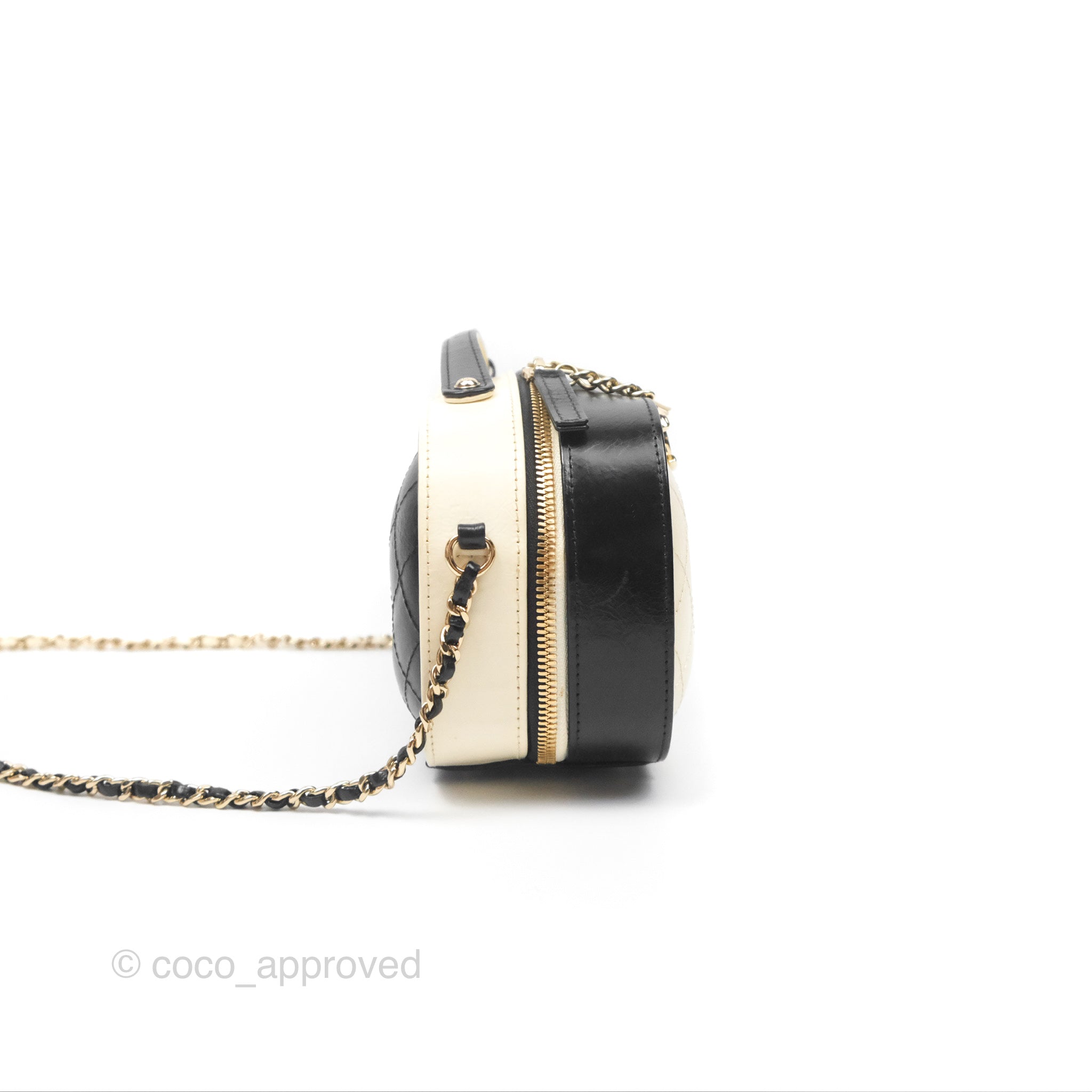 Chanel Camera Case Bag in Black & White Calfskin with Gold Hardware - Perfect for Everyday Luxury & Travel Accessories