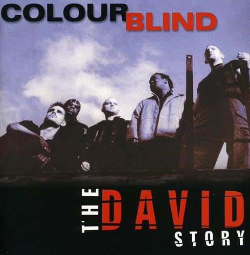 The David Story - Inspirational Biblical Book for Personal Growth & Faith Building | Perfect for Bible Study, Church Groups & Spiritual Reflection