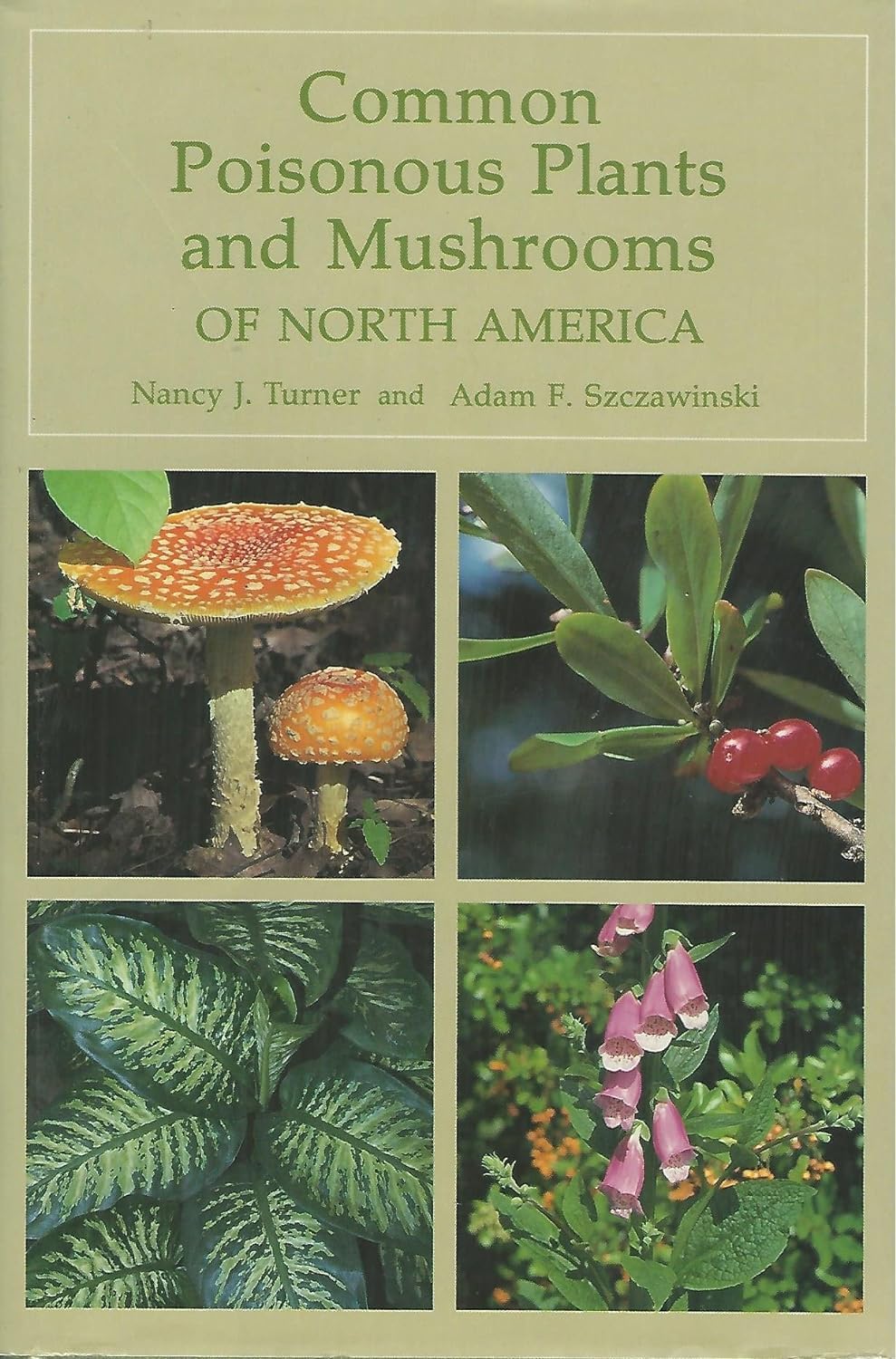 Common Poisonous Plants and Mushrooms of North America – Identification Guide for Hikers, Gardeners & Foragers