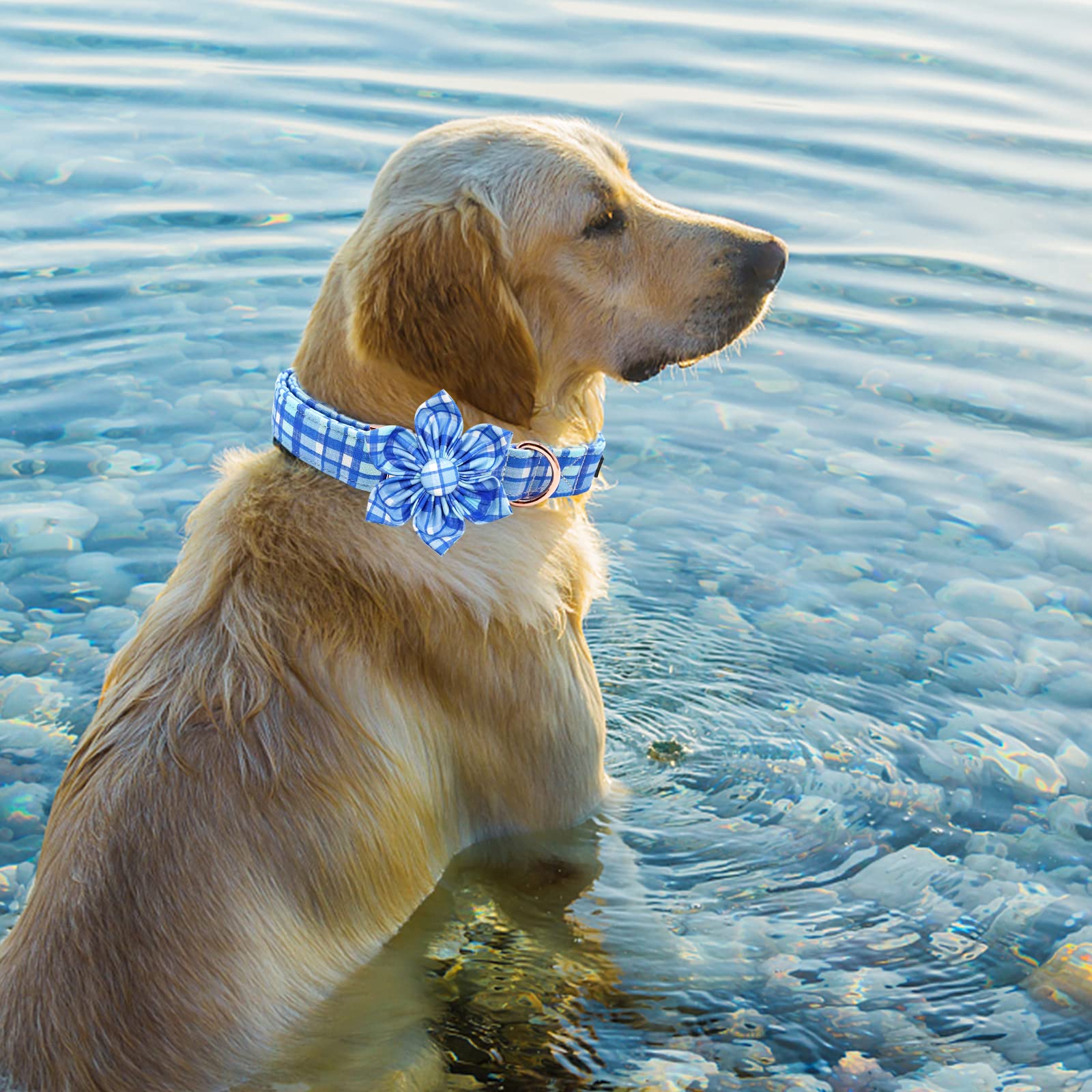 Elegant Blue Plaid Dog Collar with Flower - Soft Adjustable Pet Collar for Medium Dogs | Perfect for Daily Walks, Pet Photos & Special Occasions